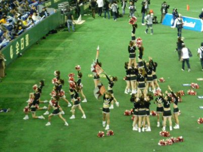 ライスボウルチア