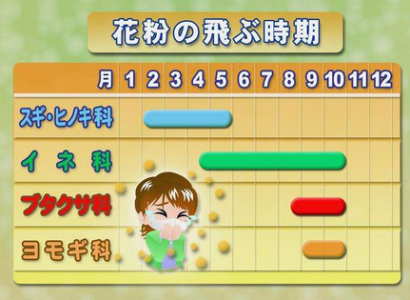 秋花粉症の時期