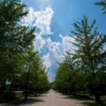 栄養失調太りとは?夏バテなのに体重が増えてしまう原因と予防対策【まとめ】
