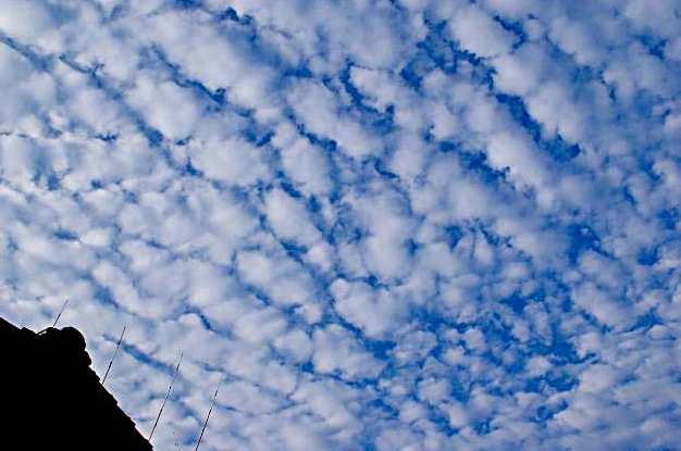 【巻積雲（けんせきうん）】うろこ雲、いわし雲、ひつじ雲 違い 天気予報